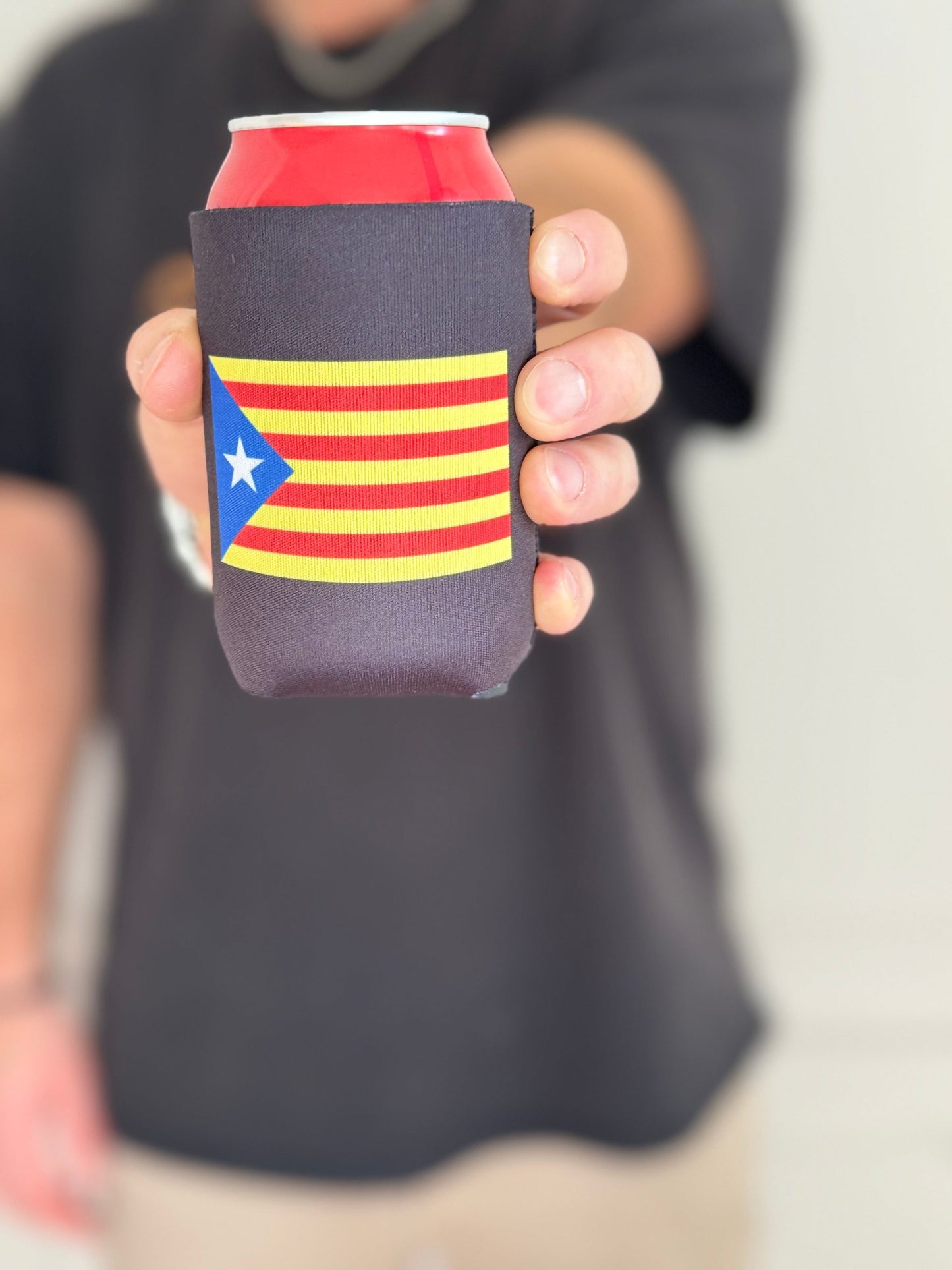 Catalan Independence Flag